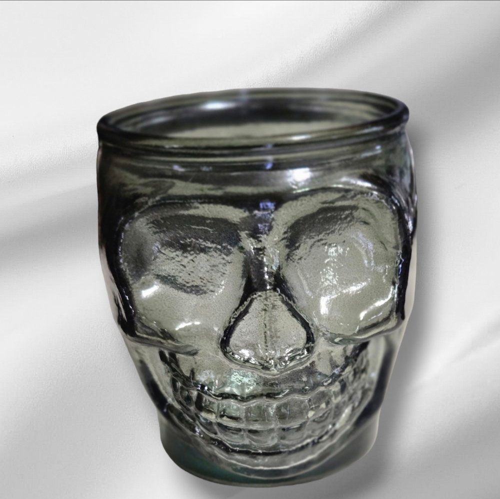 Skull holder